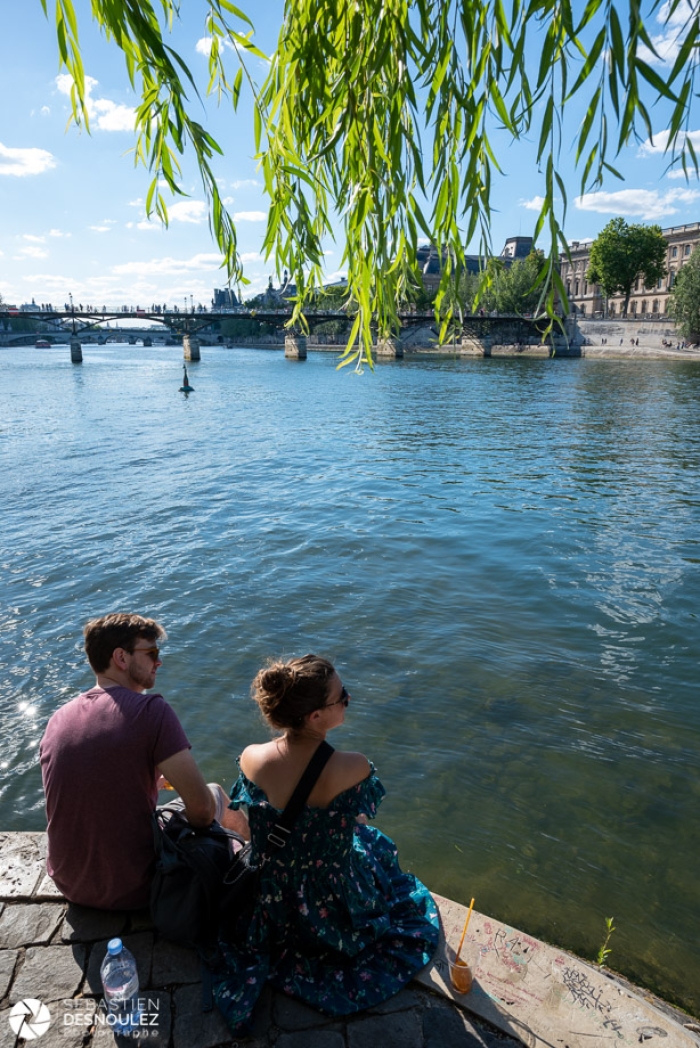 Pointe de l'Île de la Cité, Paris - Photo : © Sebastien Desnoulez photographe d'ambiances et d'architecture