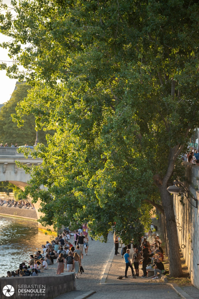 Quais parisiens pendant la canicule - Photo : © Sebastien Desnoulez photographe d'ambiances et d'architecture