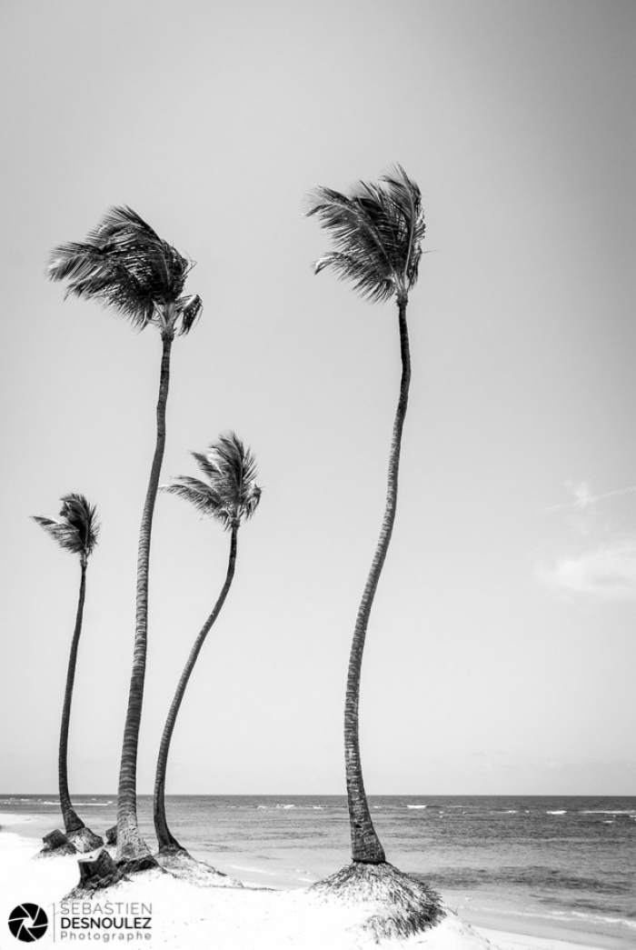 Coconut Coast, Hispaniola Island, Dominican Republic   Photo : Sebastien Desnoulez