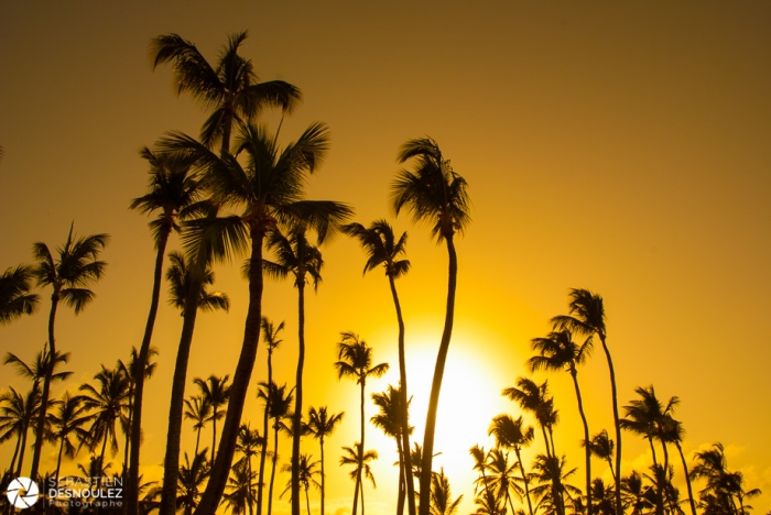 Coucher De Soleil Sur La Côte Des Cocotiers, Hispaniola, République Dominicaine   Photo : Sebastien Desnoulez