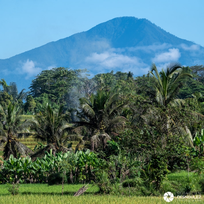 Mont Batur, dans les rizières autour d'Ubud, Bali - Photo : © Sebastien Desnoulez Photographe auteur