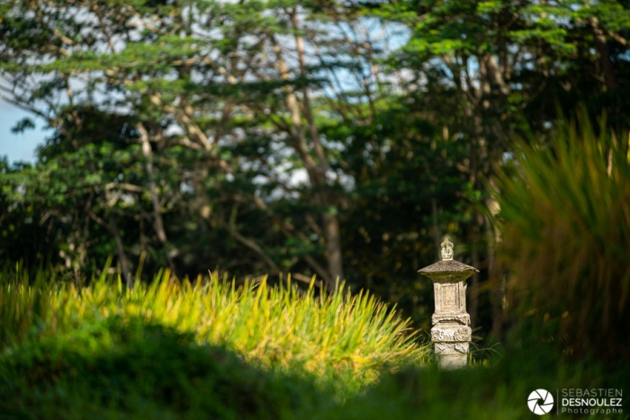 Dans les rizières autour d'Ubud, Bali - Photo : © Sebastien Desnoulez Photographe auteur