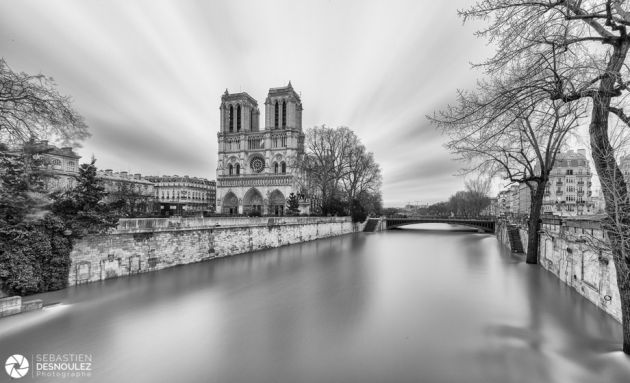 La Seine en crue à Notre-Dame de Paris - Photo : © Sebastien Desnoulez Photographe Architecture