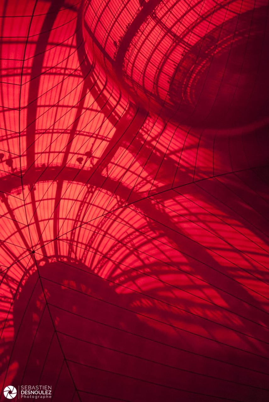 Monumenta 2011 - Installation Anish Kapoor Grand Palais, Paris - Photo : © Sebastien Desnoulez photographe d'ambiances et d'architecture