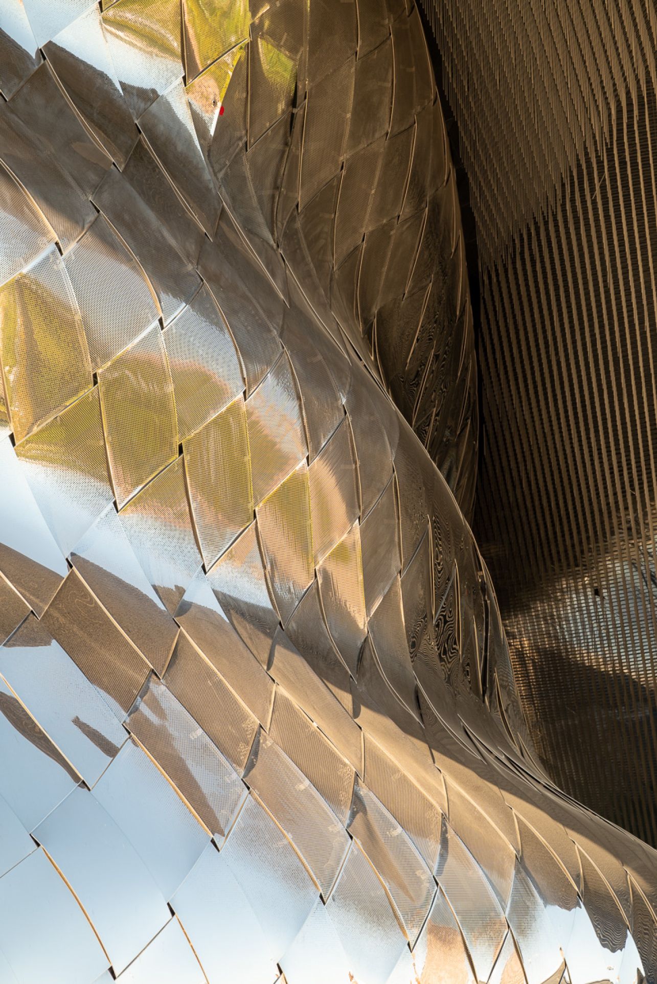 Philharmonie de Paris10 Photo Sebastien Desnoulez photographe d ambiances et d architecture