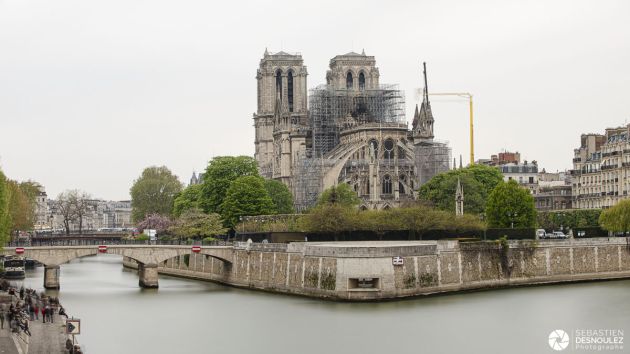 Notre-Dame de Paris photographiée le lendemain de l'incendie - Photo : © Sebastien Desnoulez photographe d'ambiances et d'architecture