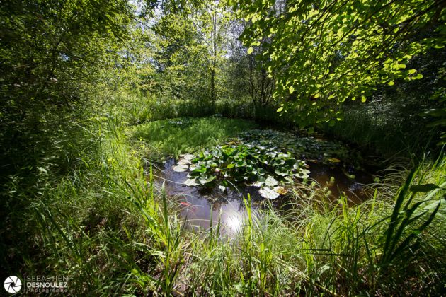 Festival des jardins 2017 de Chaumont-sur-Loire - Photo : © Sebastien Desnoulez photographe