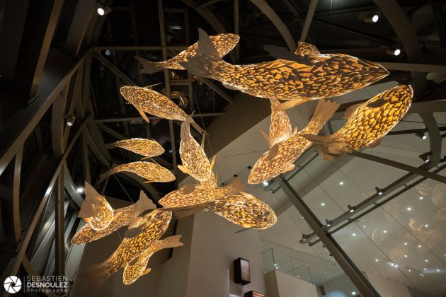 Dans l'aquarium de Frank Gehry, Fondation Louis Vuitton Paris - Photo : © Sebastien Desnoulez photographe d'ambiances et d'architecture